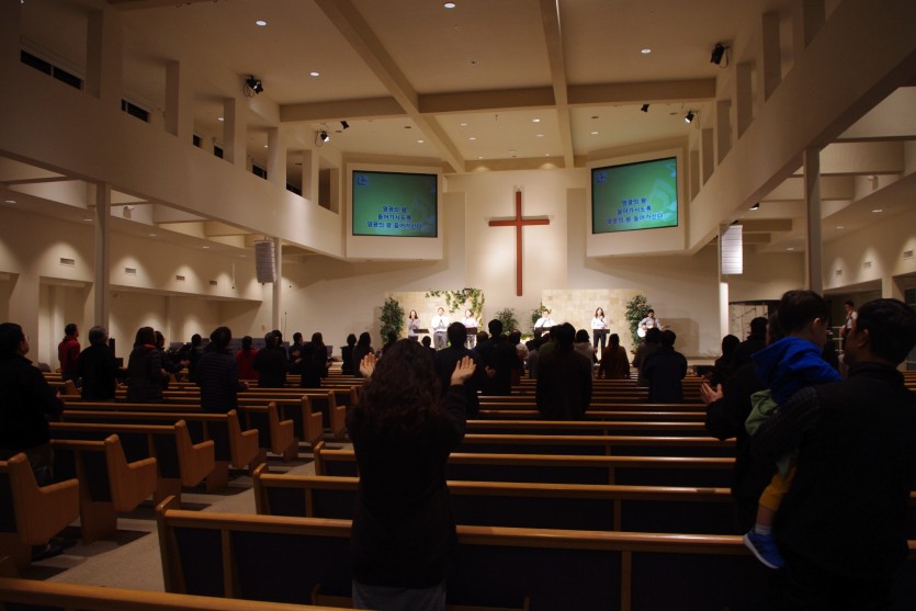 IMGP8334.JPG