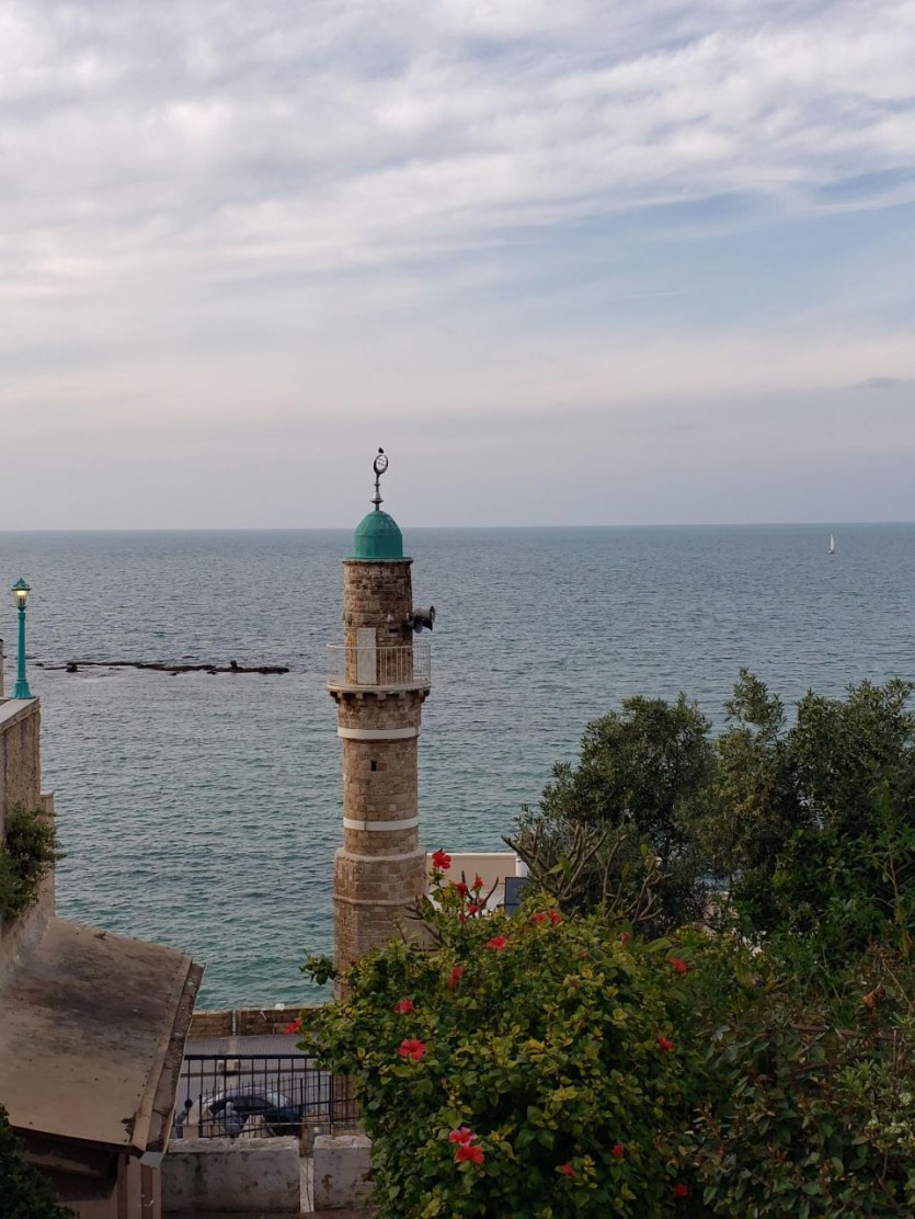 20190405_180515.jpg