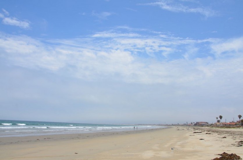 D7K_7418 copy.JPG