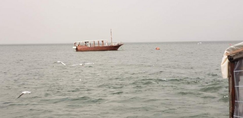 IMG_8798.JPG