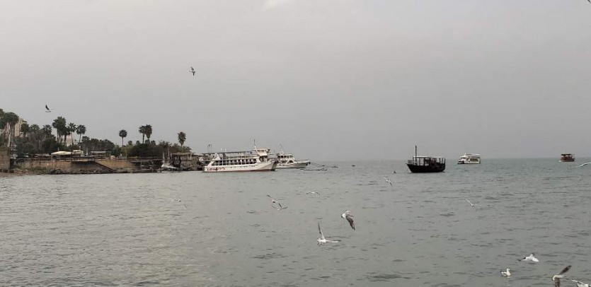 IMG_8799.JPG