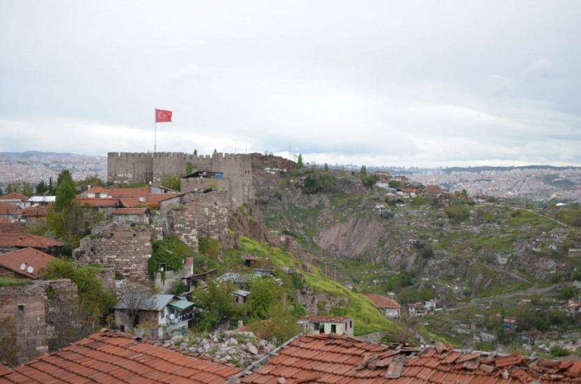 DSC_0394.JPG