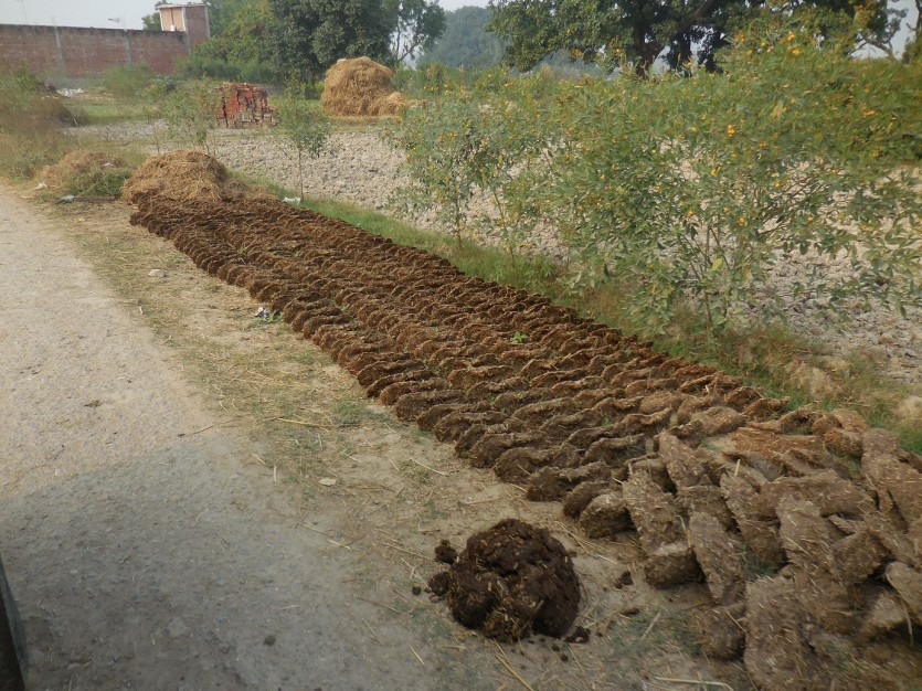 DSCN3612.JPG