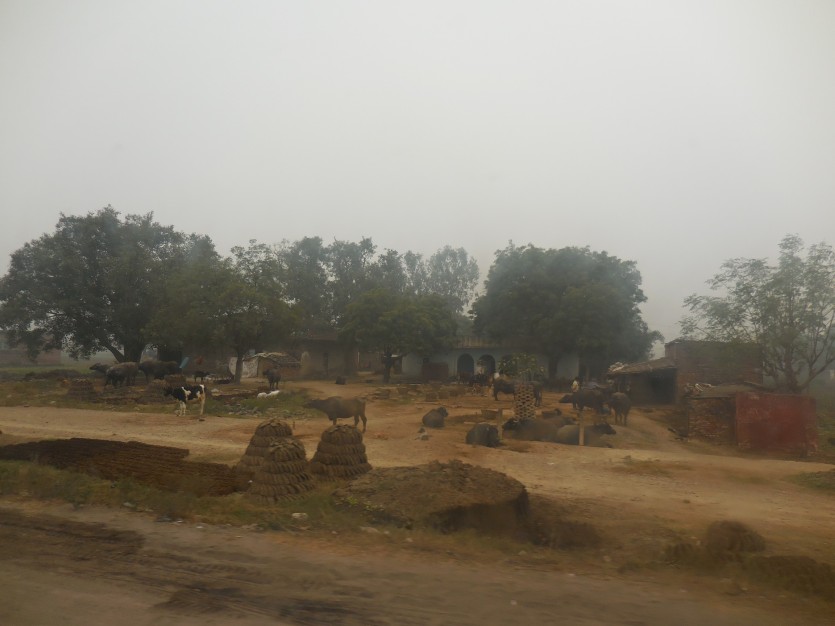 DSCN1711.JPG