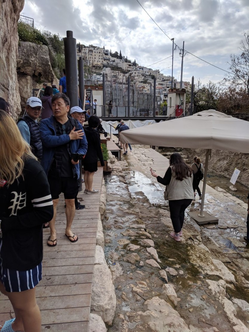 IMG_20190404_095832.jpg