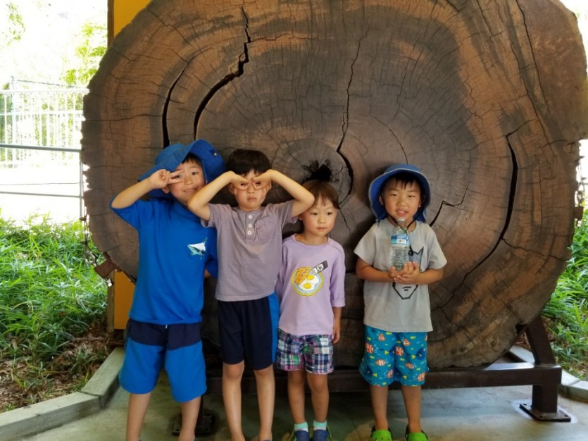 KakaoTalk_20170806_102013821.jpg