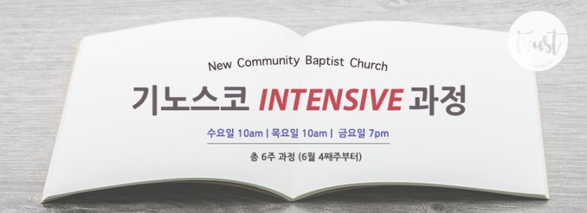 기노스코intensive.jpg