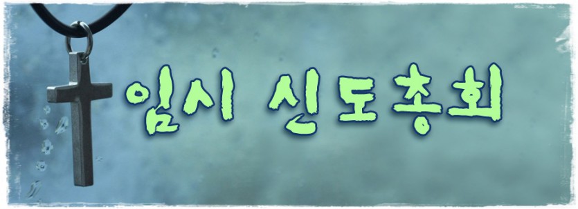 공지_임시 신도총회.jpg