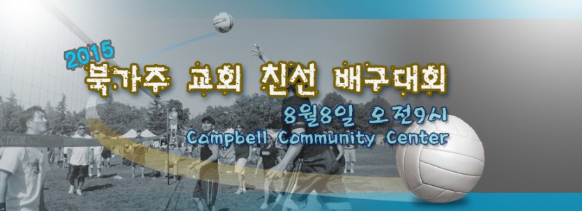 2014_vallyball.jpg