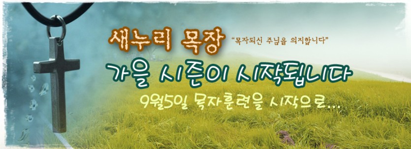 2015_cell_시작.jpg