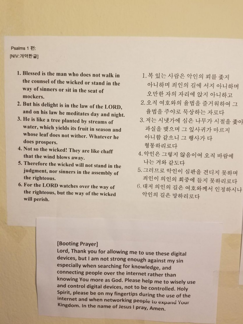 20170529_104425.jpg