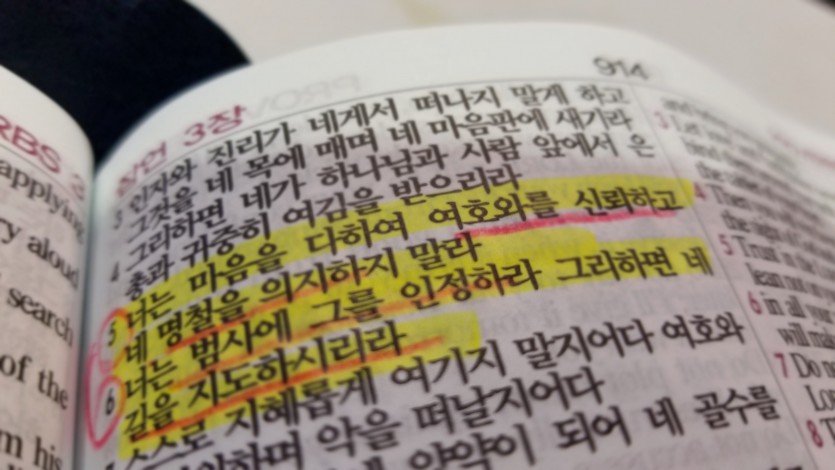 KakaoTalk_20170725_083534239.jpg