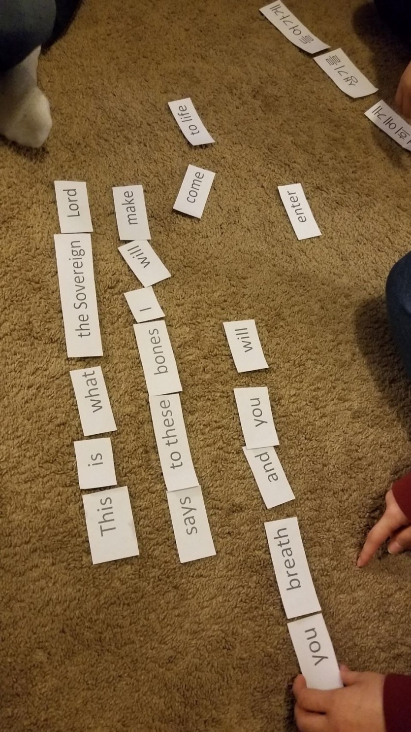 20190216_173339.jpg