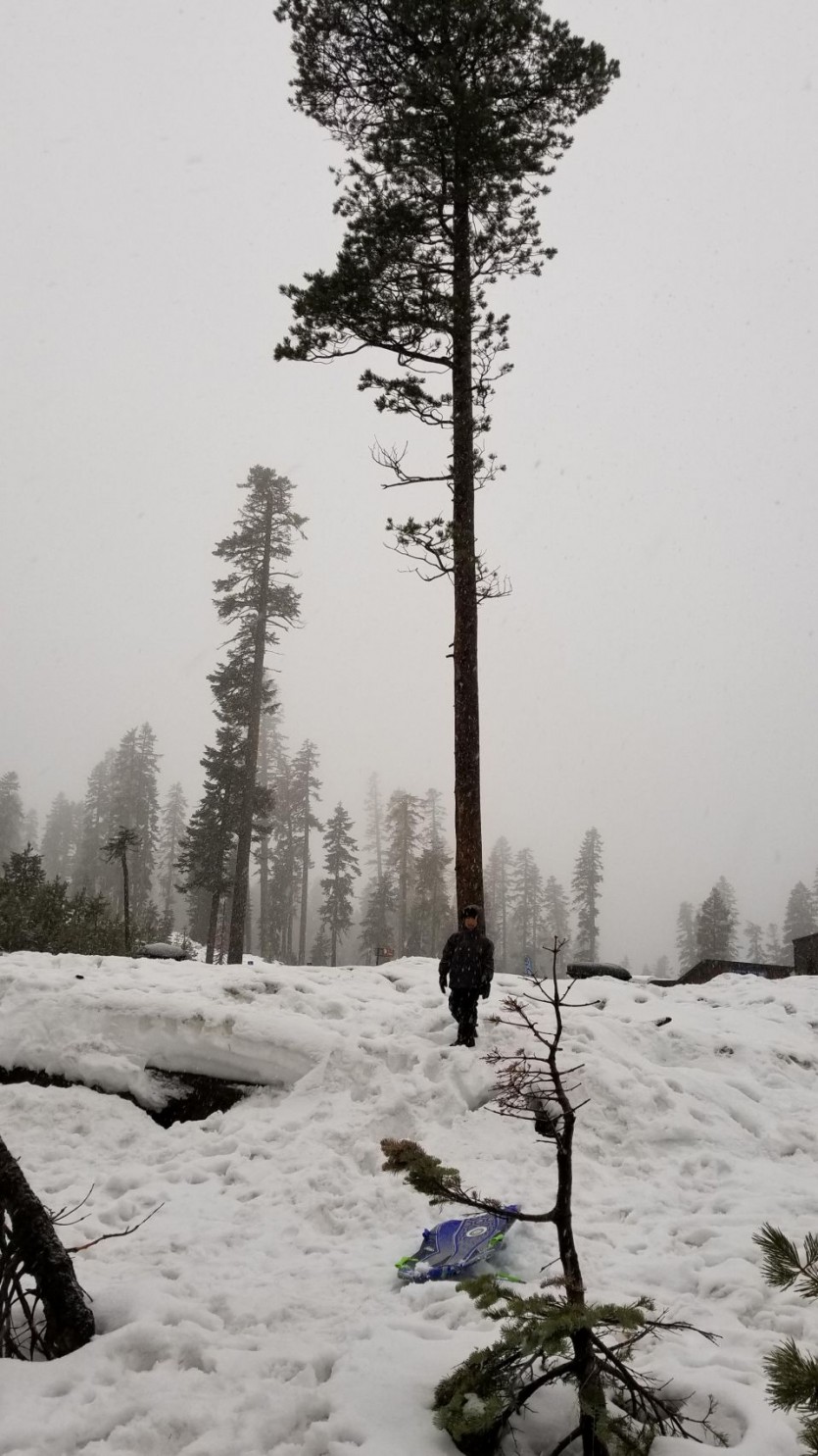 KakaoTalk_Photo_2019-01-08-17-17-26-12.jpeg