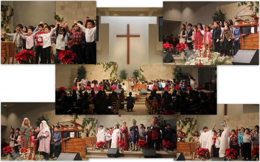 Collages.jpg