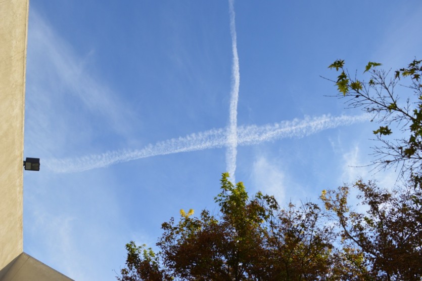 DSC_0111.jpg