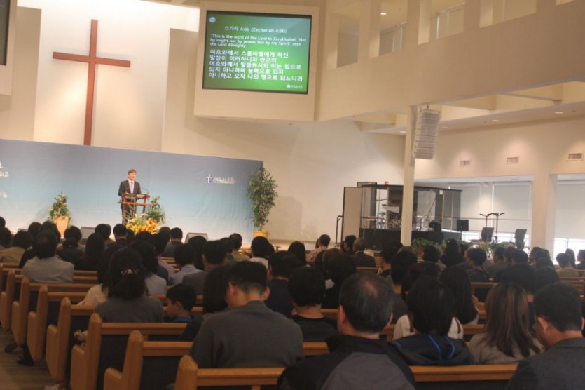 Resized_IMG_0011.JPG