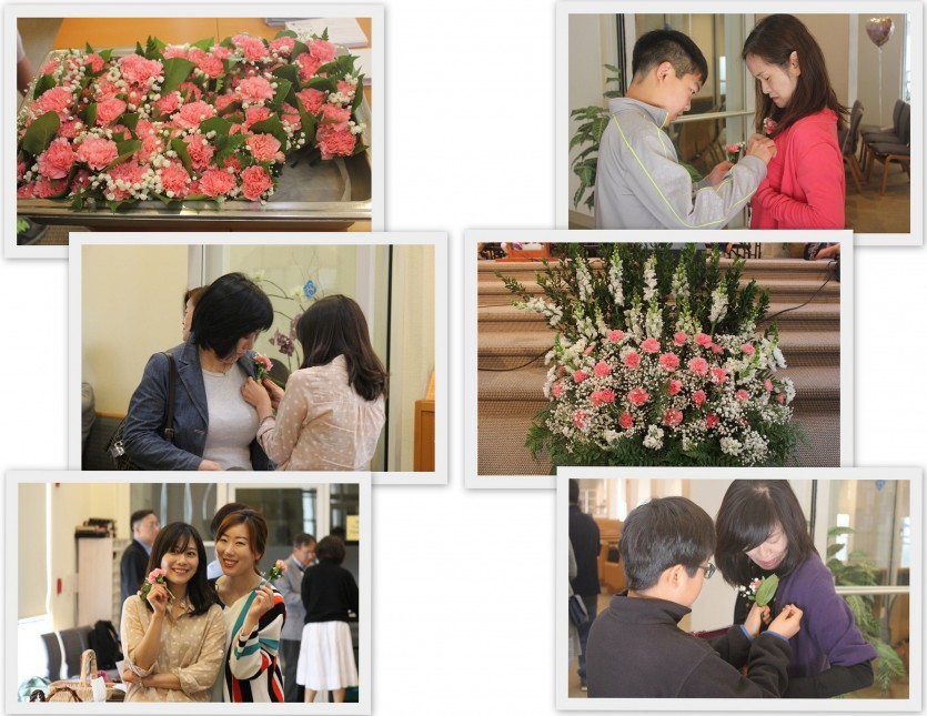 Carnation.jpg