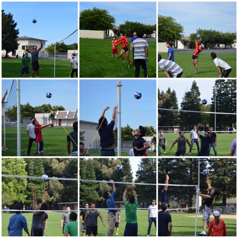 DSC_0180_Fotor_Collage.jpg