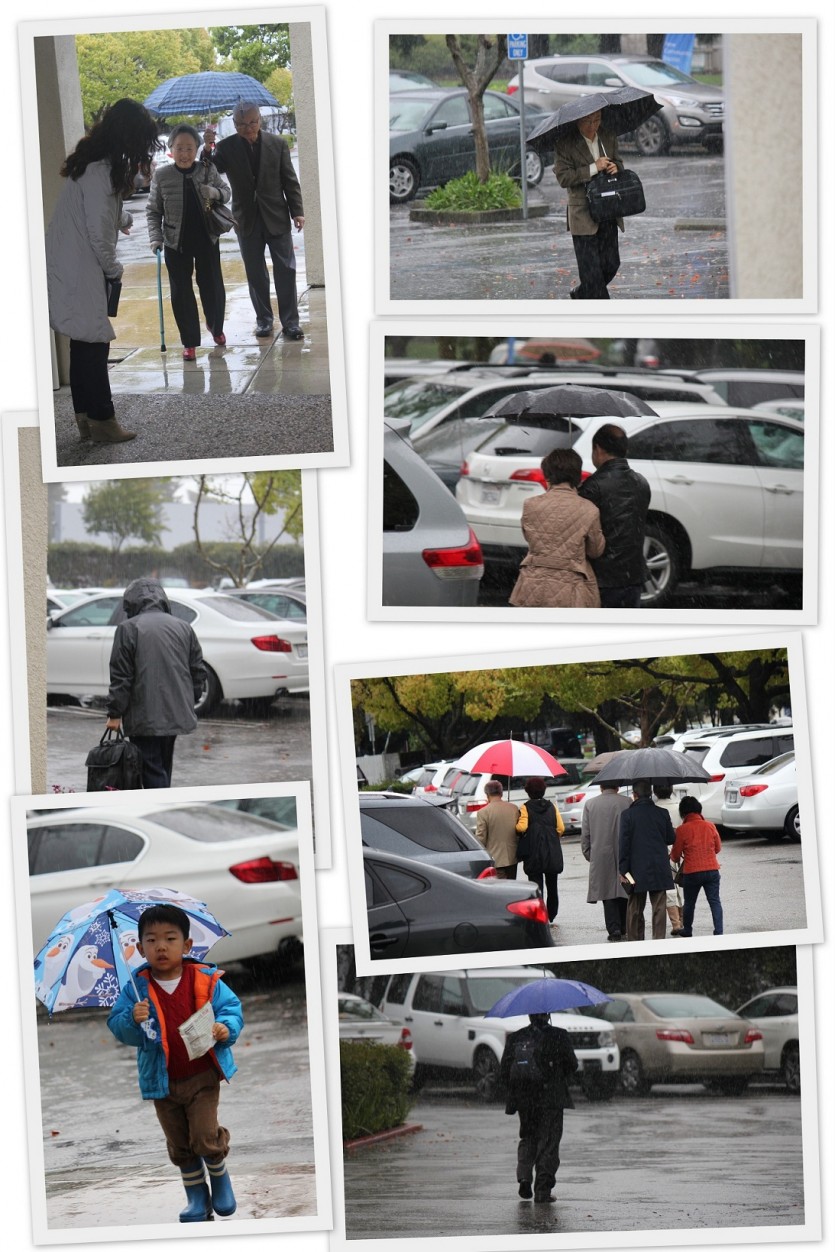 21_Rain.jpg