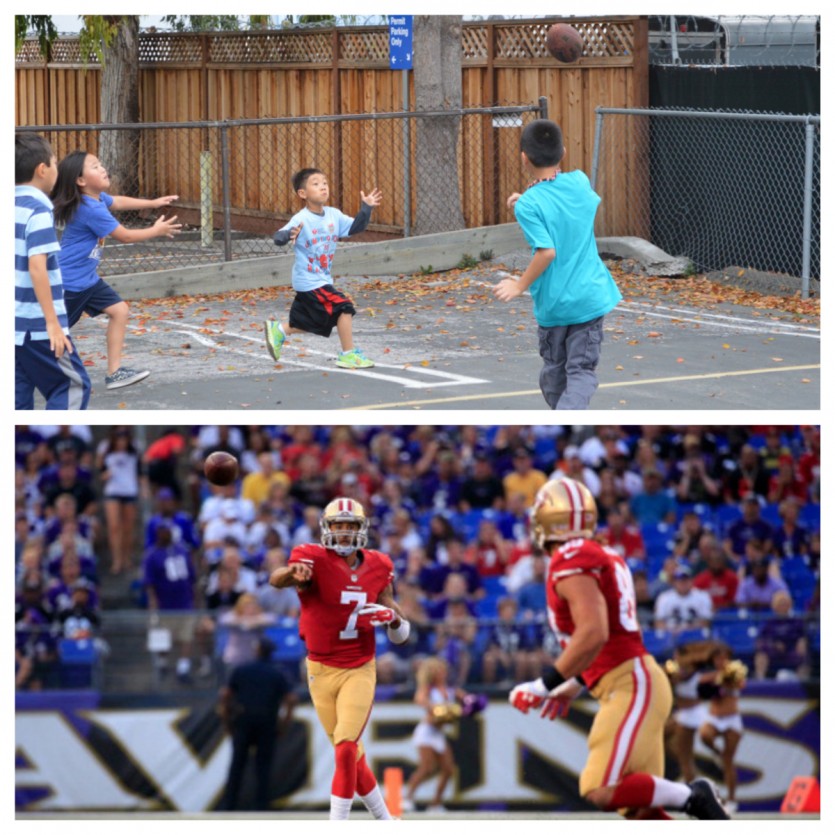 49ers_ravens_preseason_453316554_Fotor_Collage.jpg