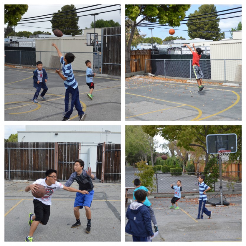 DSC_0119_Fotor_Collage.jpg