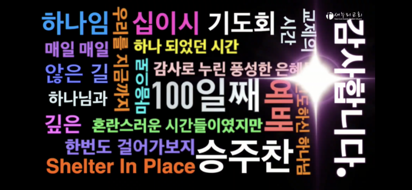 IMG_0234.PNG
