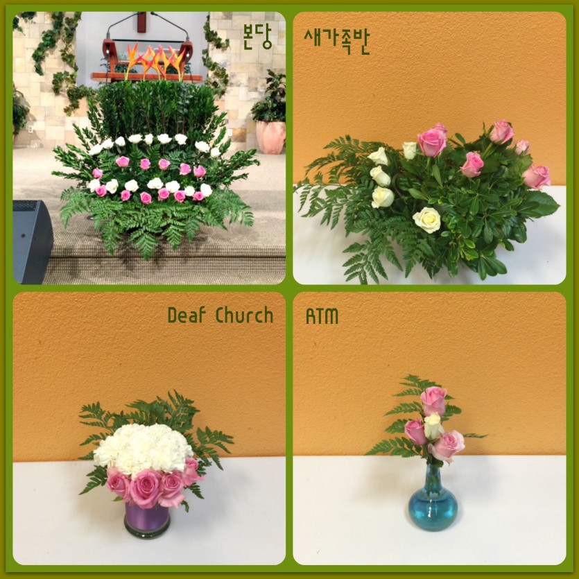 flowers.jpg