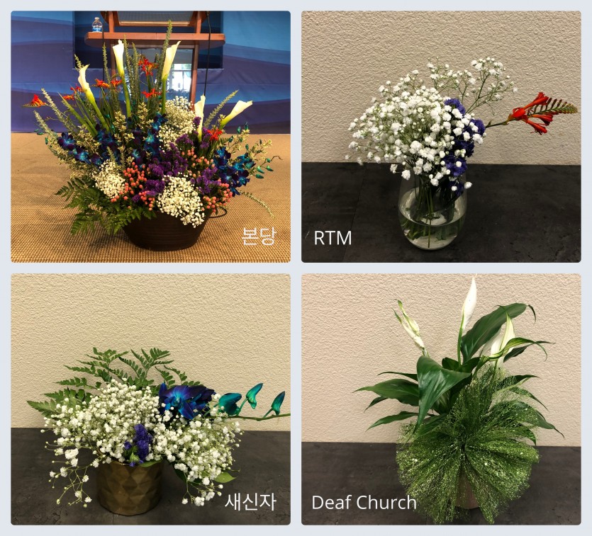 collage_10062019.jpg