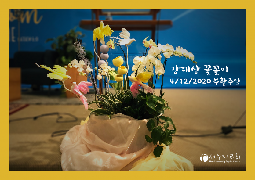 IMG-0877.png