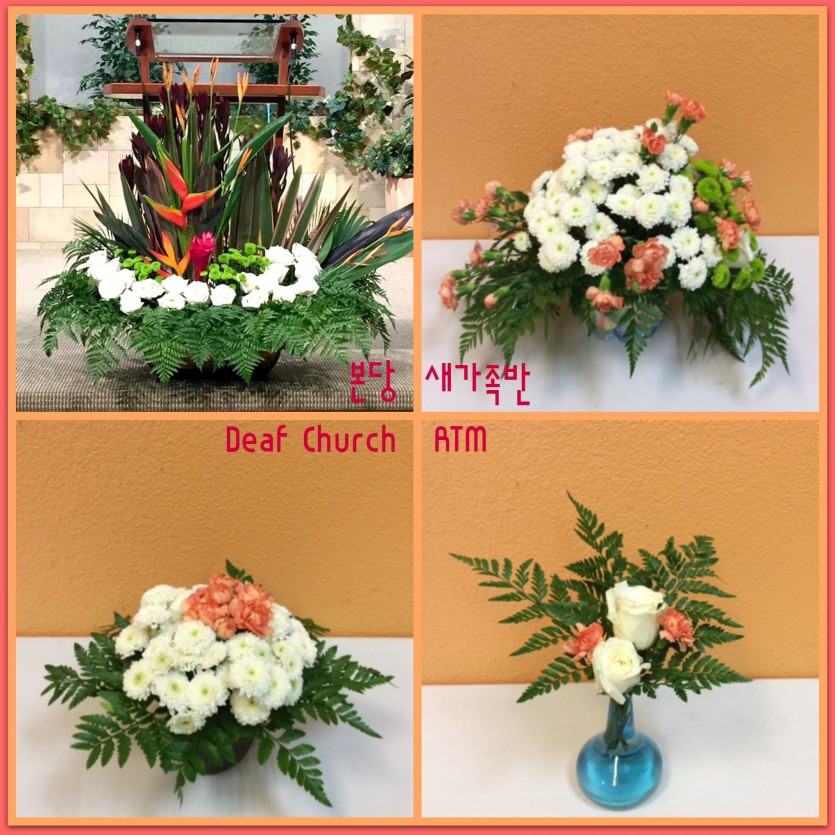 flowers.jpg