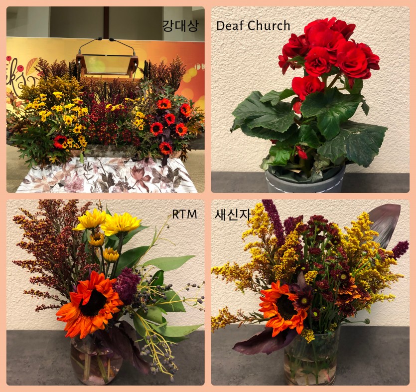 collage_11242019.jpg