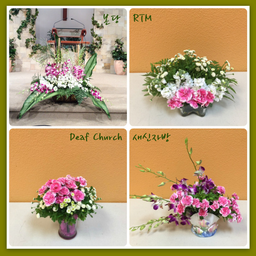 flowers.jpg