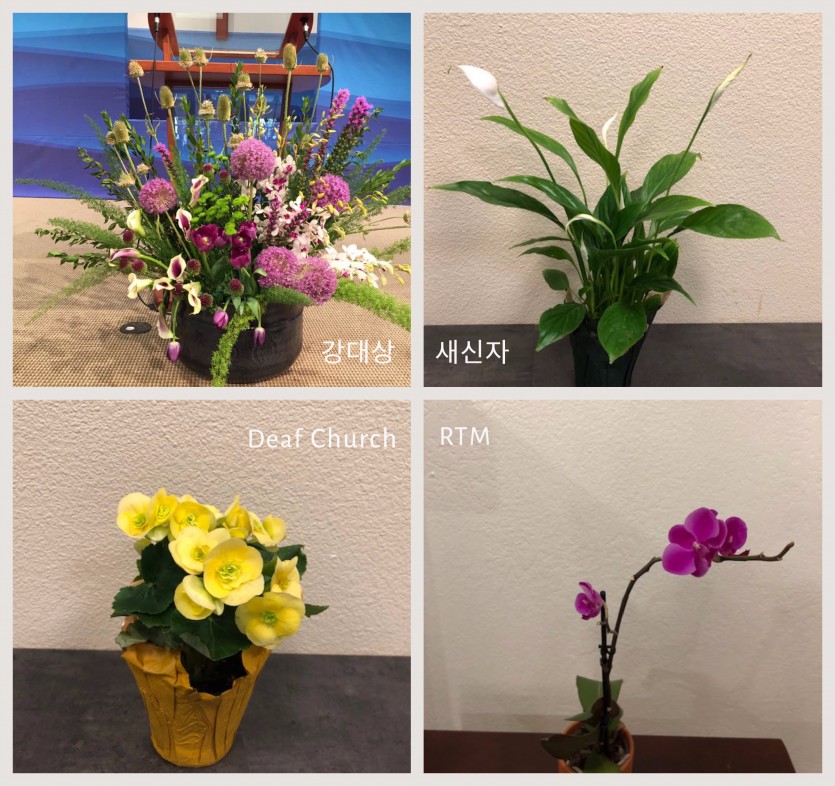 four_flower_0630.jpg