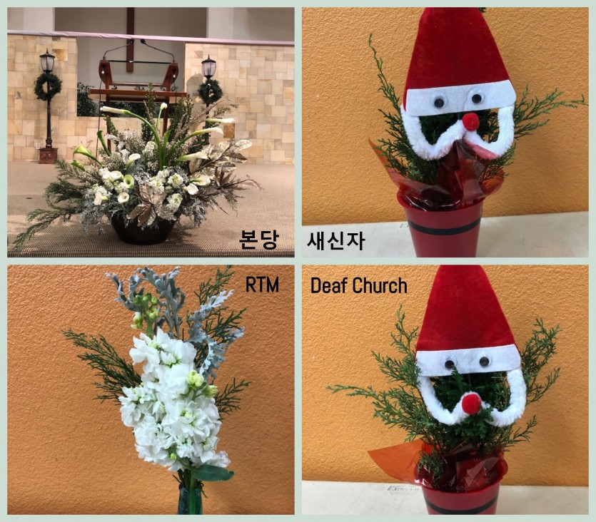 Four_flower_1223 (1).jpg