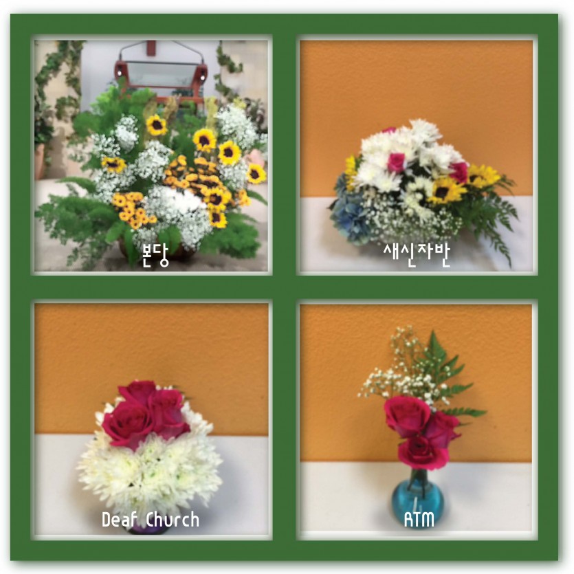 flowerTemplate1-01.jpg