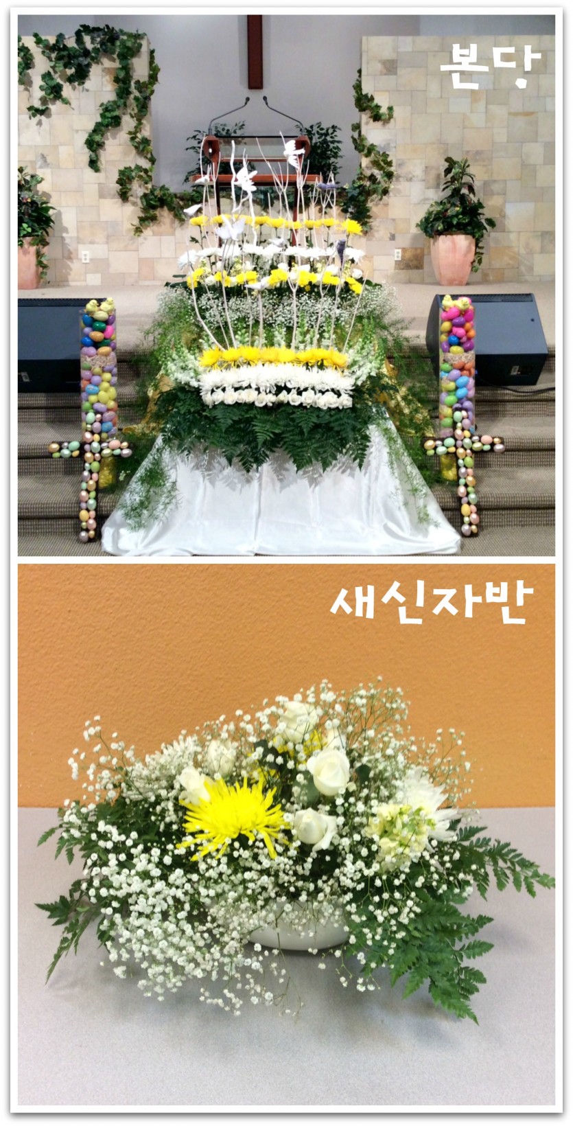 flowers.jpg