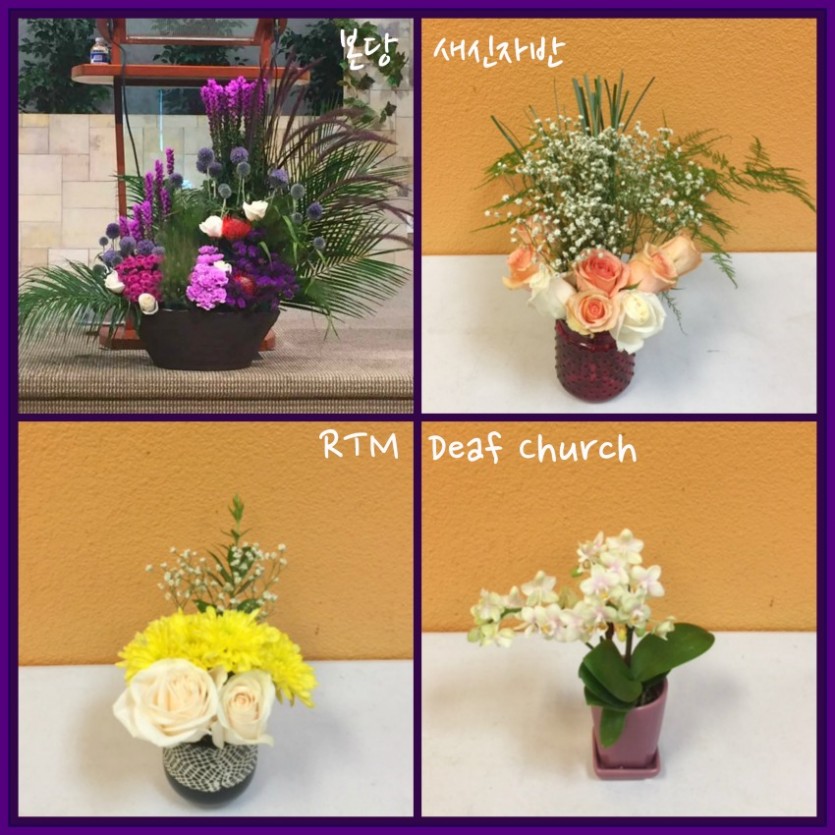 flowers.jpg