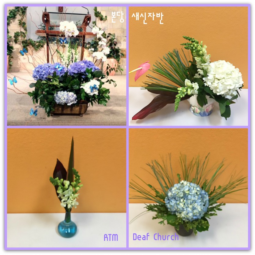 flower.jpg