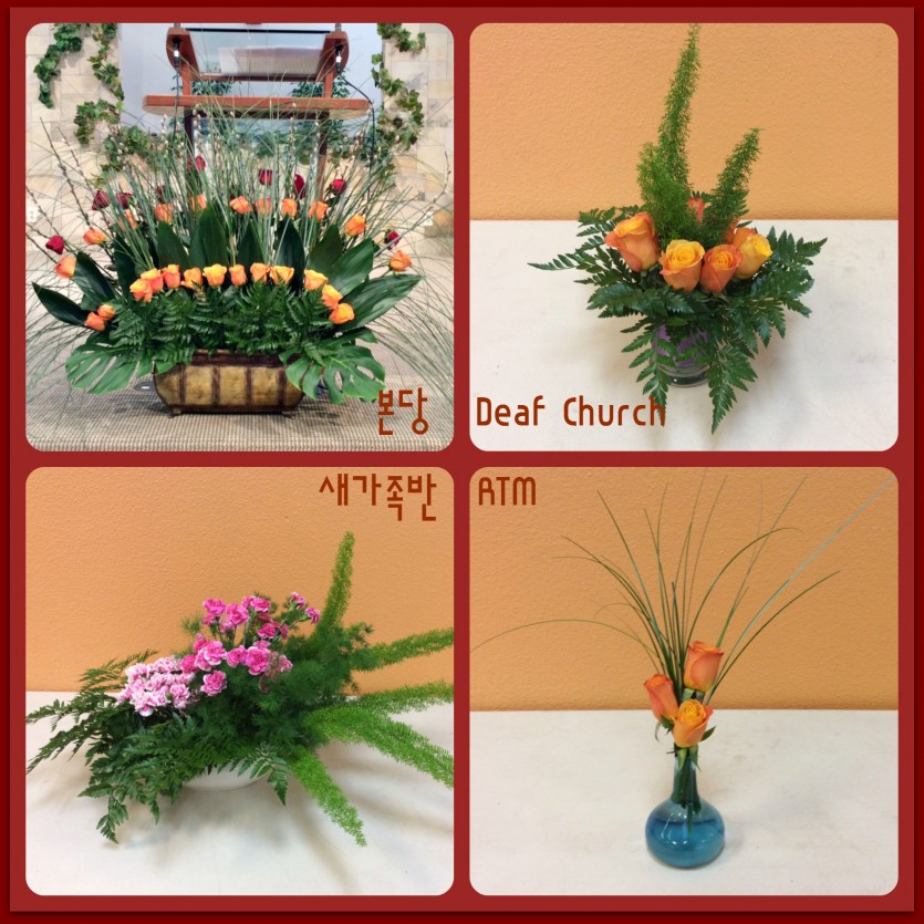 flowers.jpg