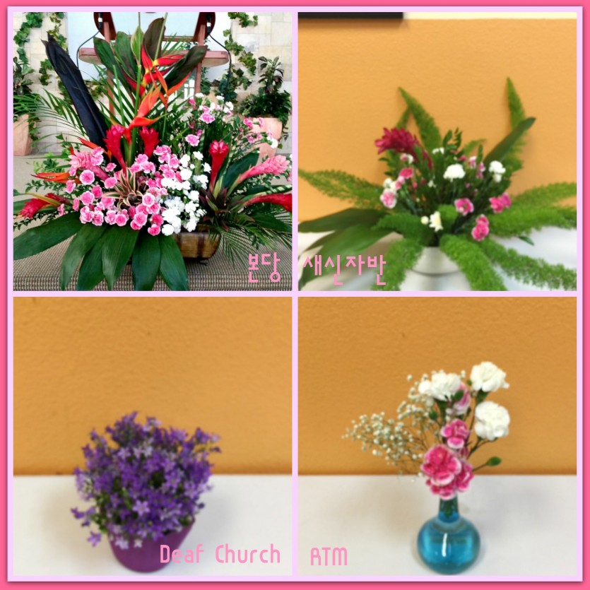 flowers.jpg
