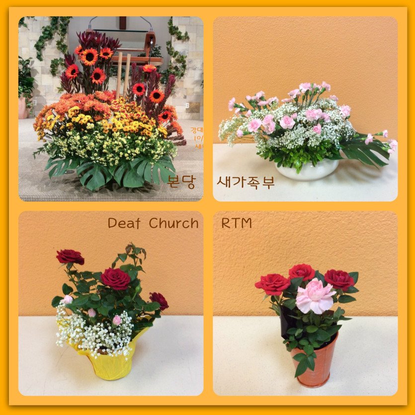 flowers.jpg