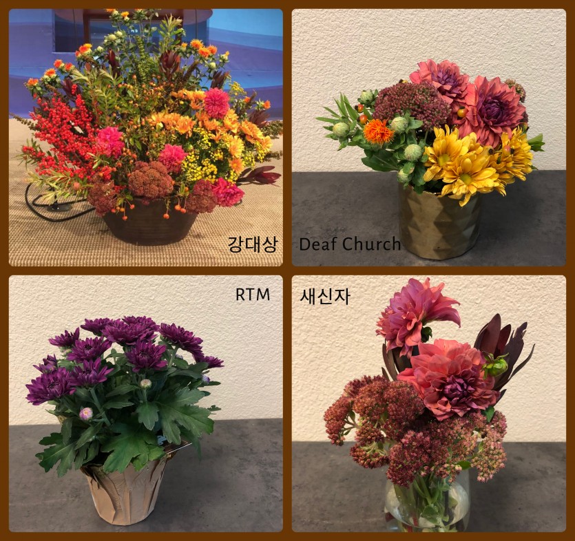 collage_092219-3.jpg