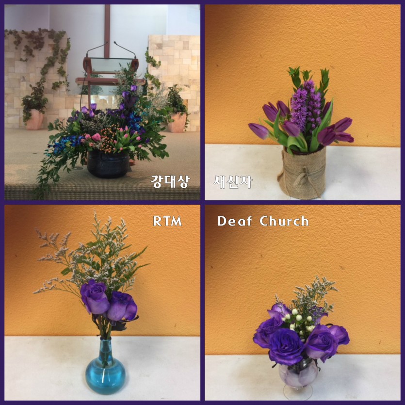 4flower_Collage.jpg