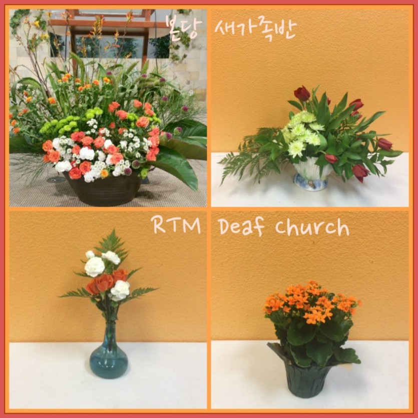 flowers.jpg