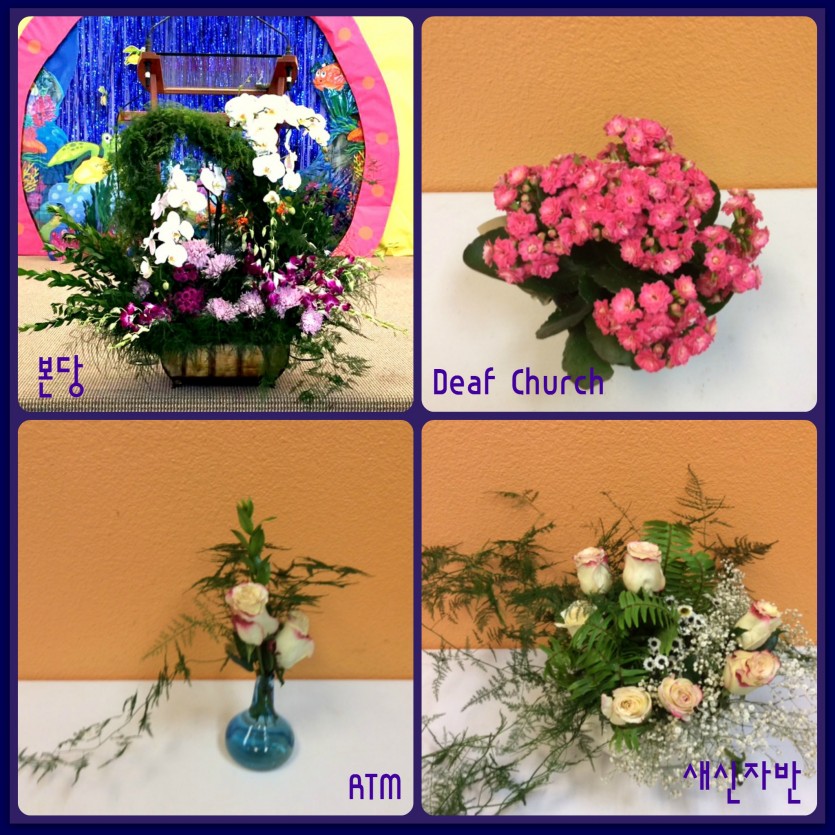 flowers.jpg