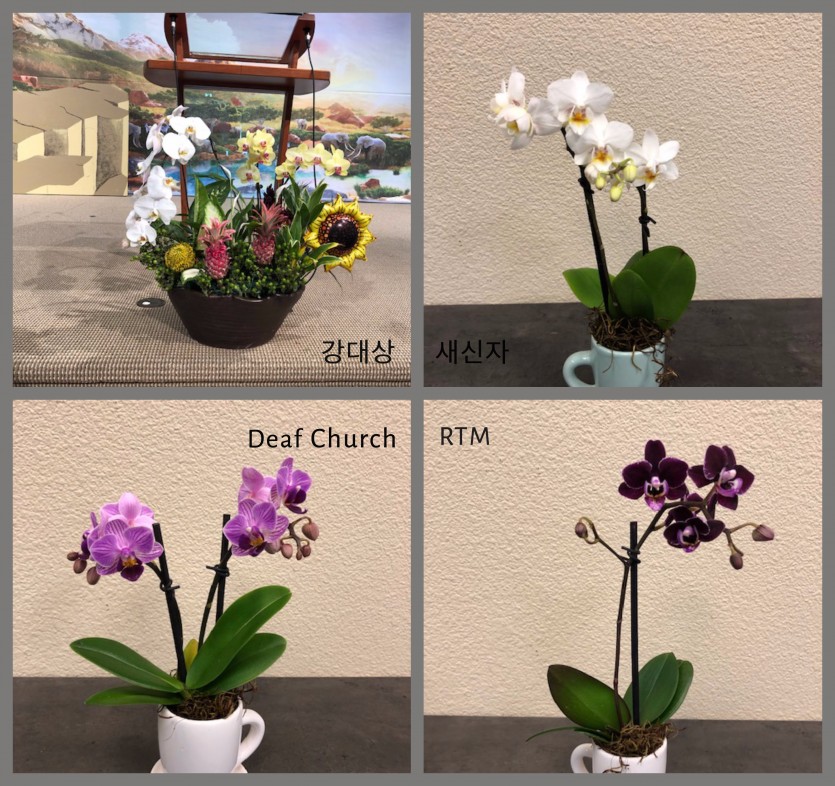 FourFlowers_0714.jpg