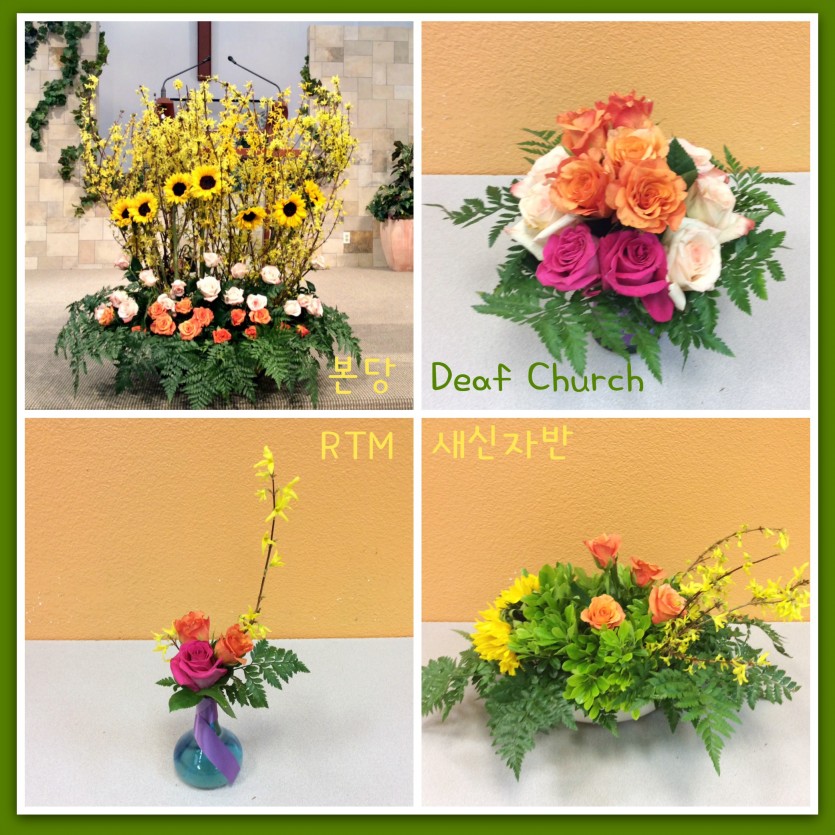 flowers.jpg