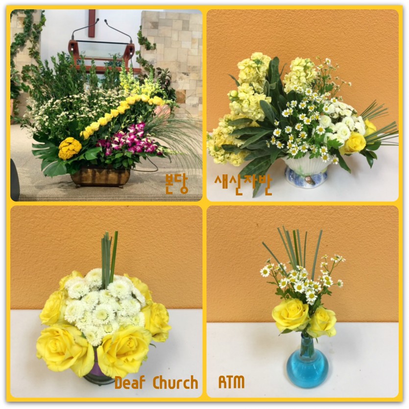 flowers.jpg