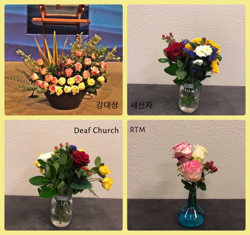 collage_0804-2.jpg